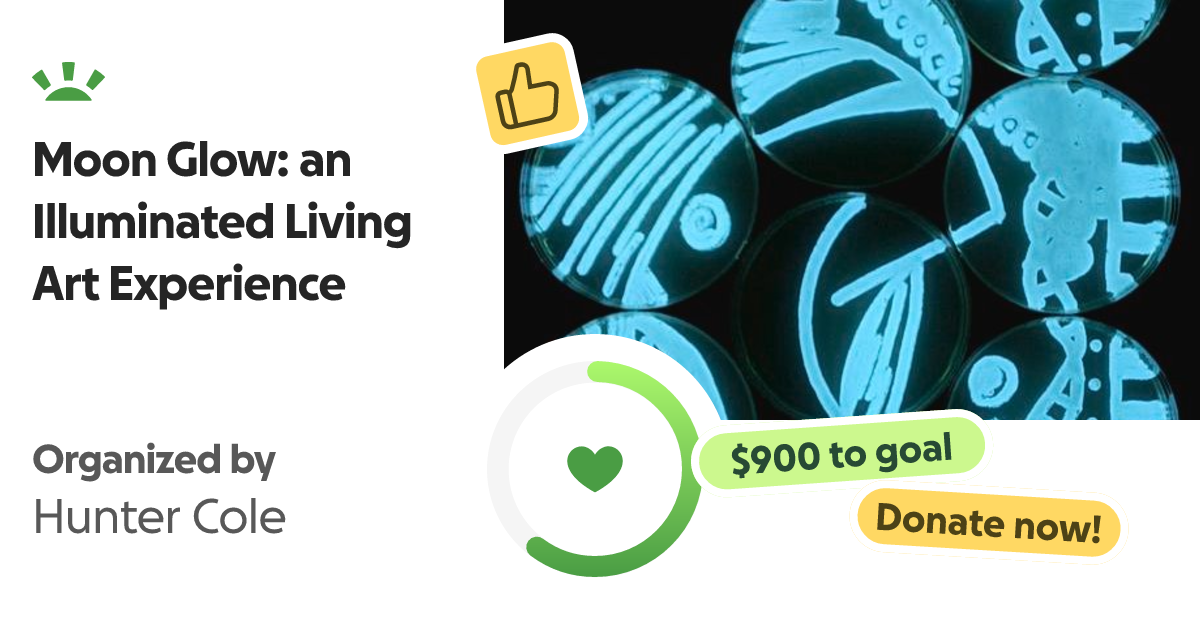 MOON GLOW GoFundMe — $900 to goal. Donate now!