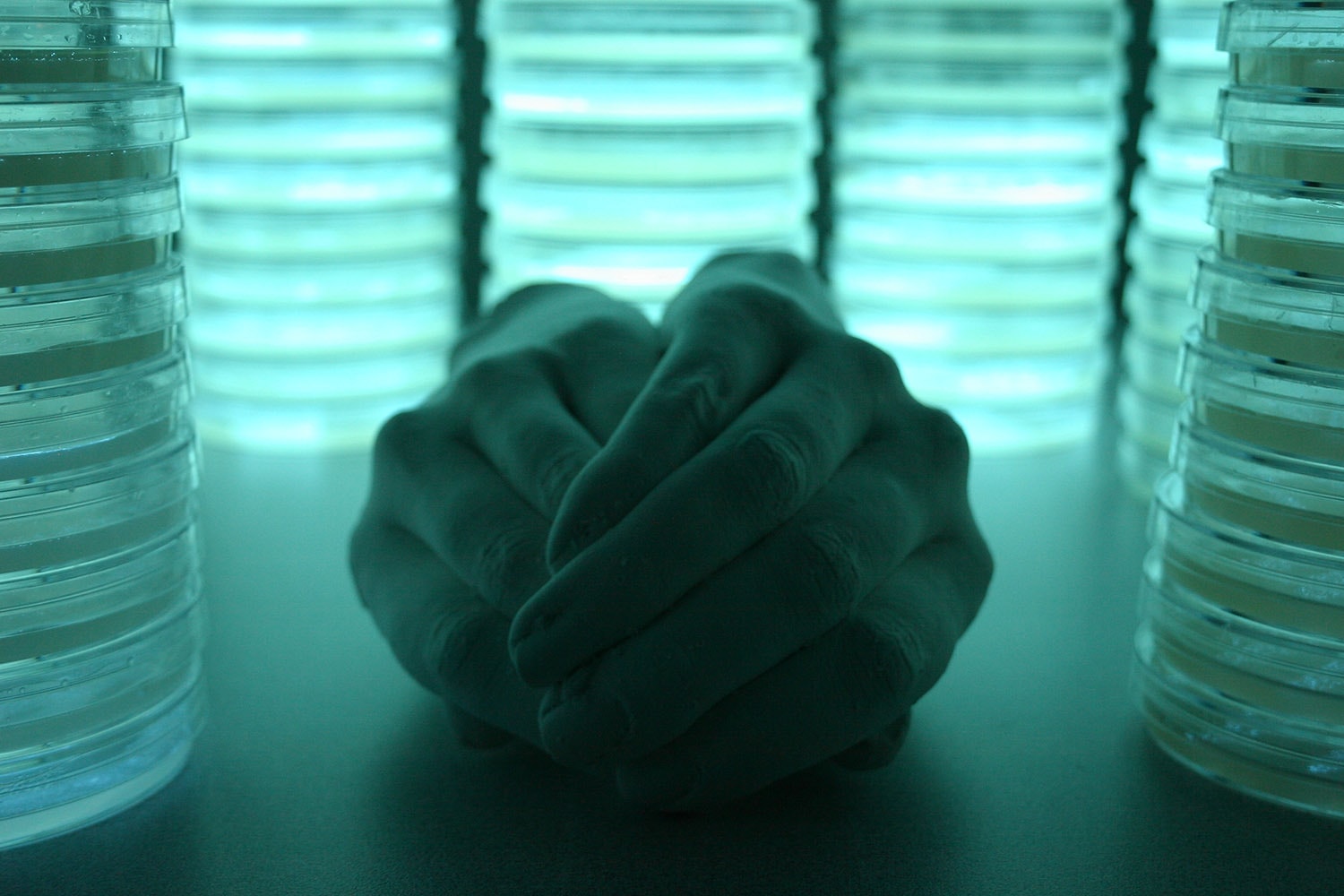 Hands by Hunter Cole