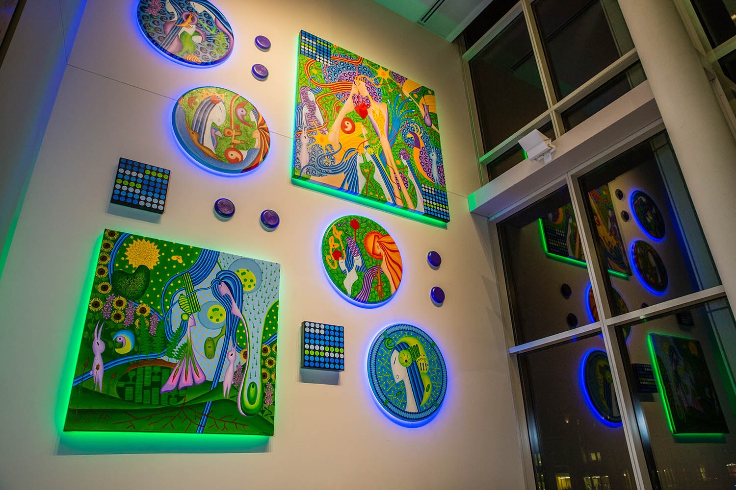 Life Evolves installation view with illuminated artworks in an interior gallery