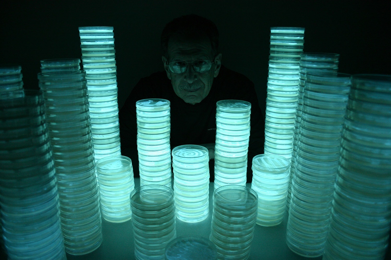 Towers of Light Reflected in Glasses 6: Portrait of Peter N. Gray by Hunter Cole